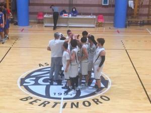 ScireaBasket1
