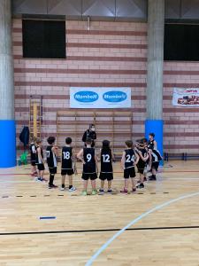 ScireaBasket2