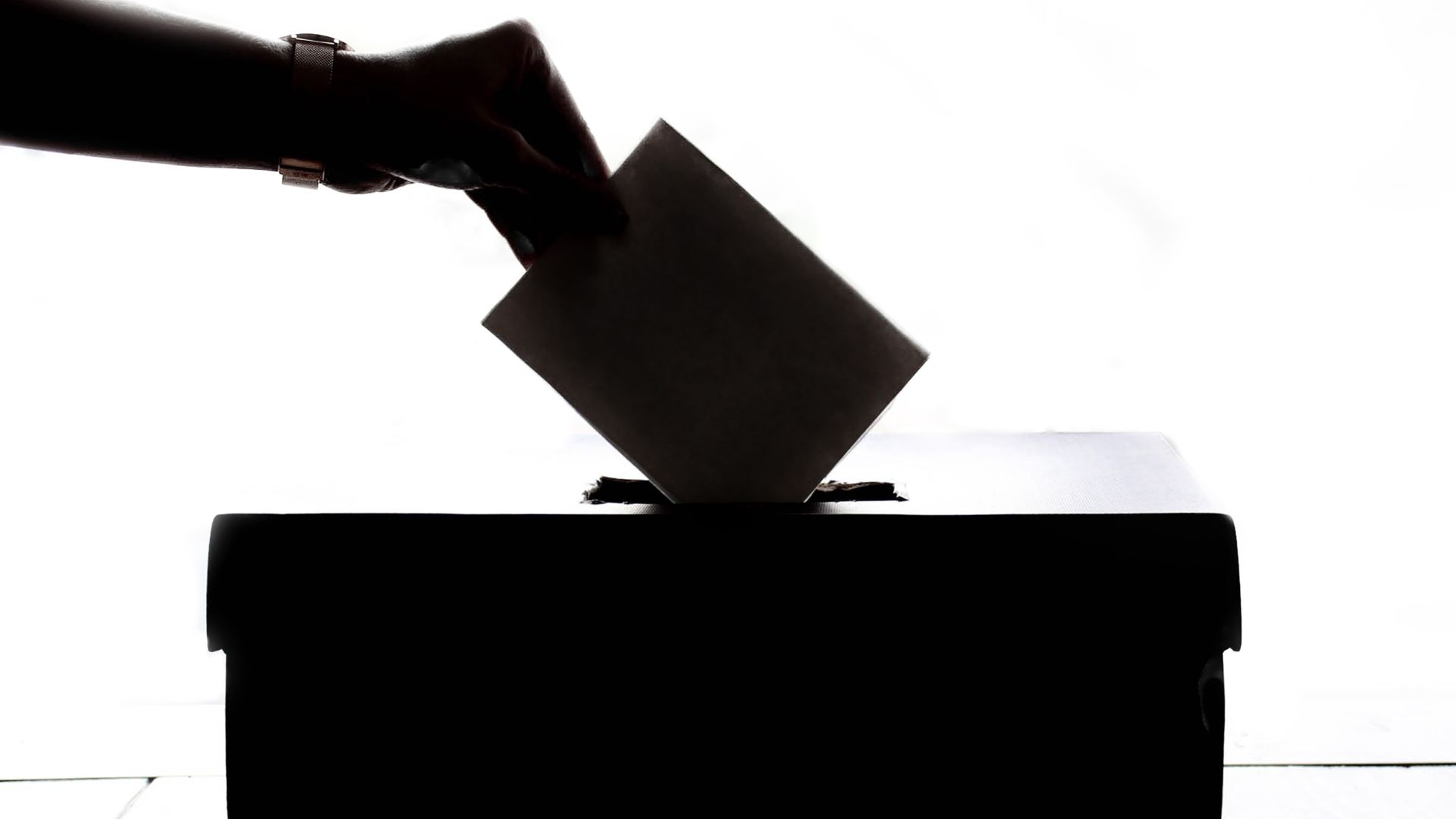 Elezioni Parlamento Europeo 2024: voto domiciliare per elettori affetti da infermità foto 